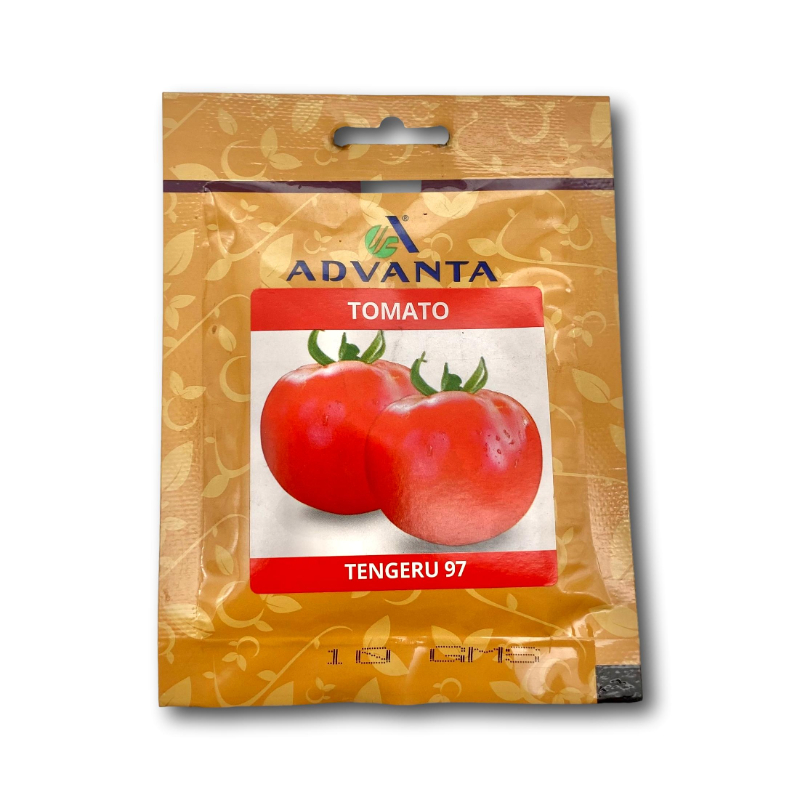 Advanta Tomato Tengeru 97