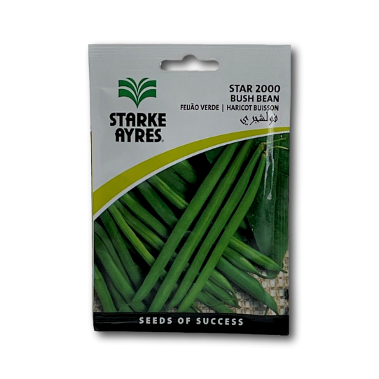 Starke Ayres Bush Beans Star 2000