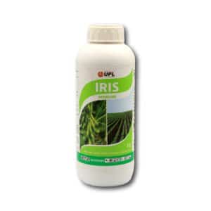 Iris 1L