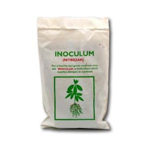 Soya Inoculant 25g