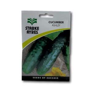 Starke Ayres Cucumber Ashley 25G