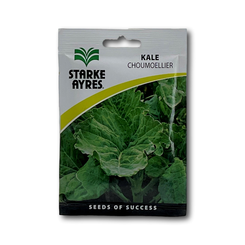 Starke Ayres Kale Chomoullier 25G