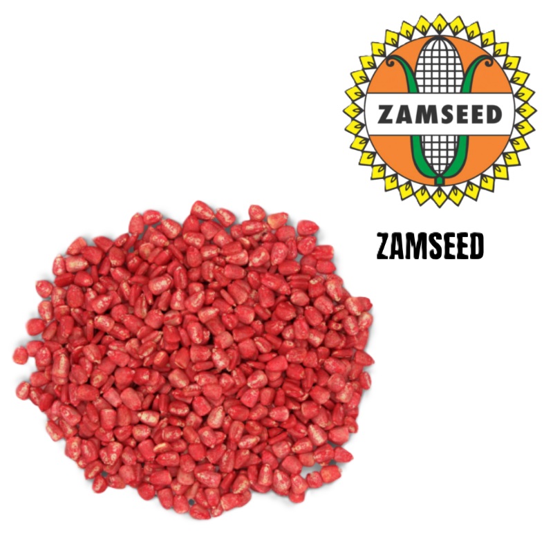 Zamseed Seed Maize 638 10Kg