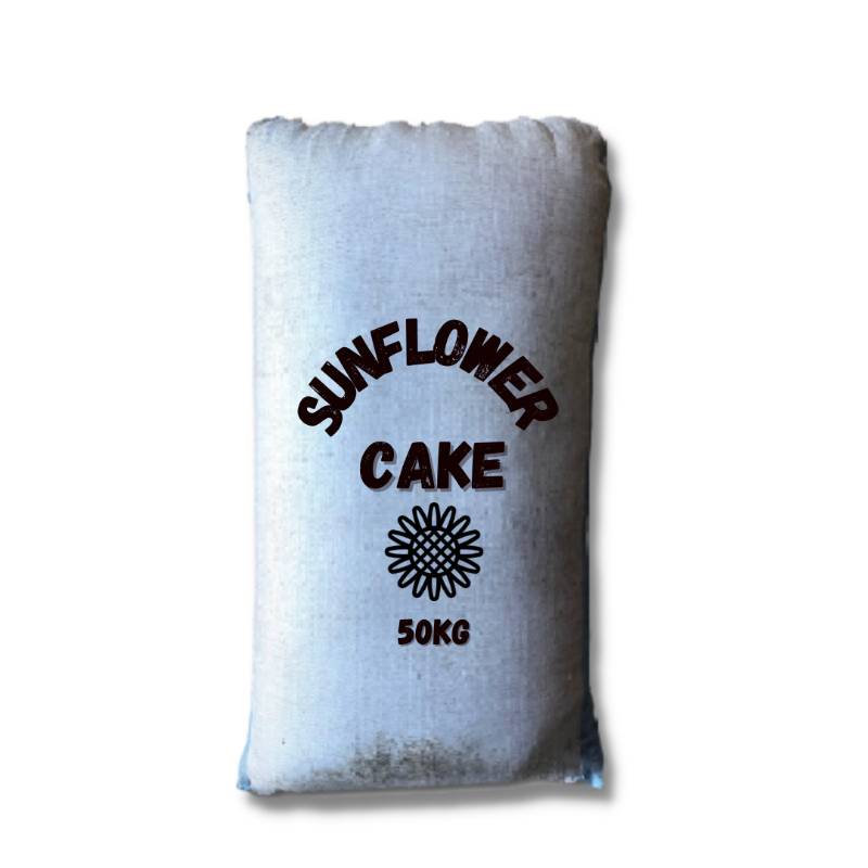 Sunflower Cake Per kg