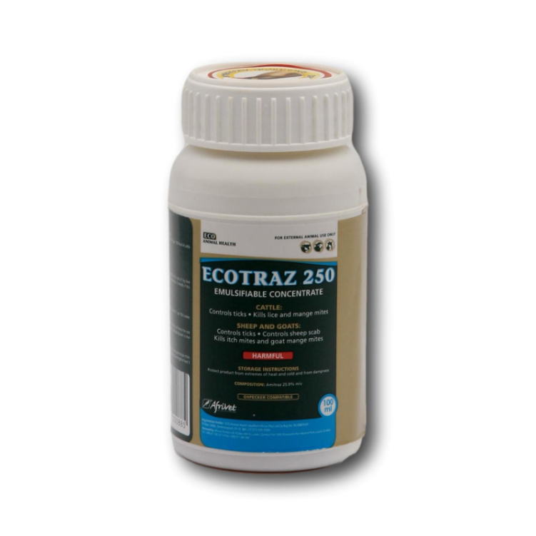 Ecotraz