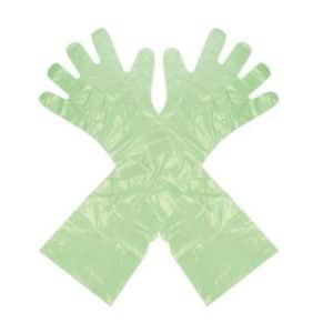 Polydisposable (Pd) Gloves each