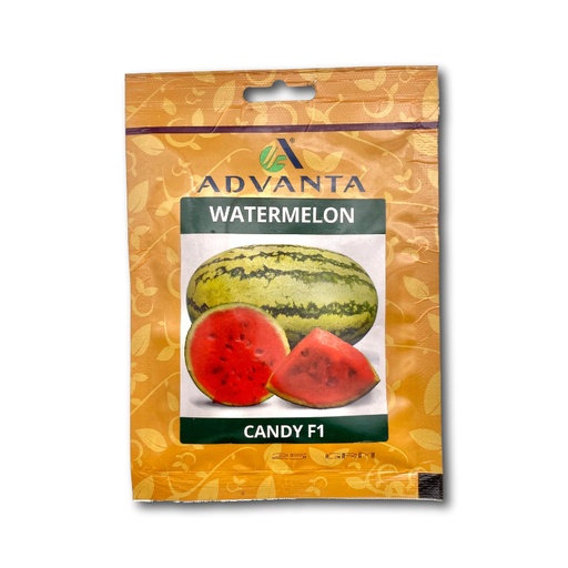 [CWATER25] Advanta Watermelon Candy F1 25g