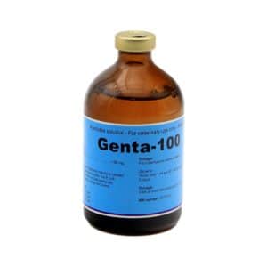 [VGEN002] Gentamycin Inject 10% 100ml