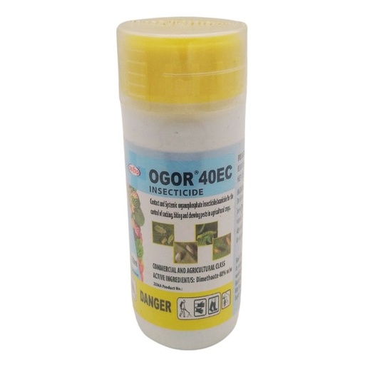 [COGO001] Ogor 100ml